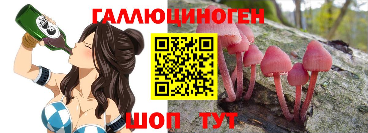 Псилоцибиновые грибы мицелий Кириши